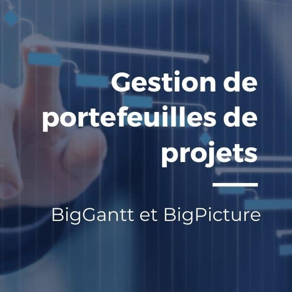 BigGantt et BigPicture : gestion de portefeuilles projets