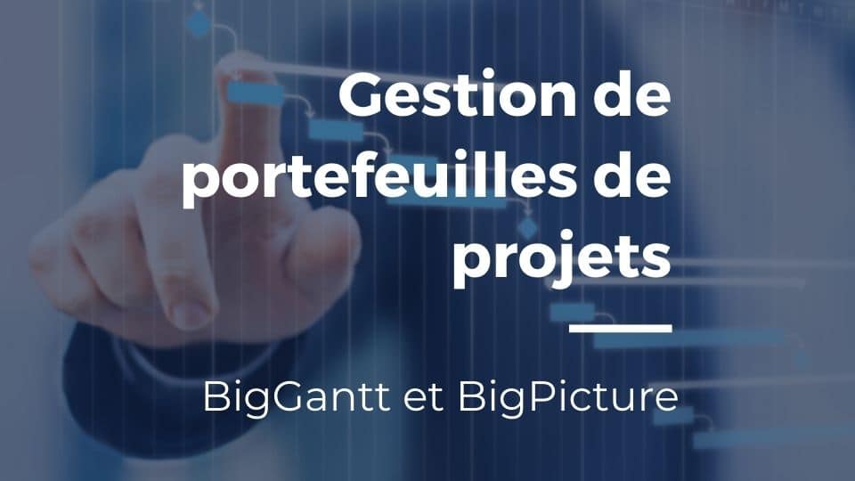 Article Gestion de portefeuille de projets BiGantt BigPicture