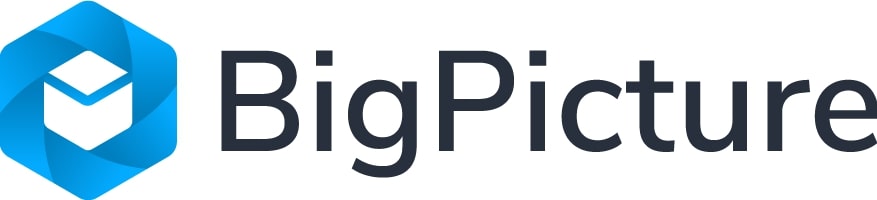 BigPicture Logo