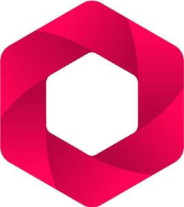 Logo BigPicture