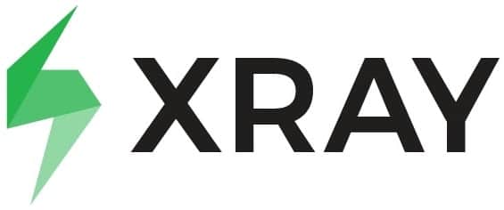 Xray logo couleur